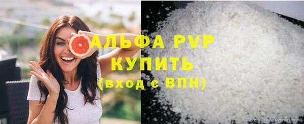 сатива Белокуриха