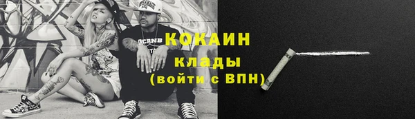 сатива Белокуриха