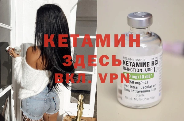 сатива Белокуриха