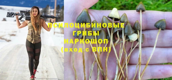 сатива Белокуриха