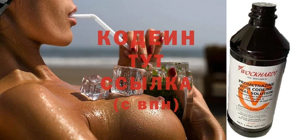 шишки Ельня